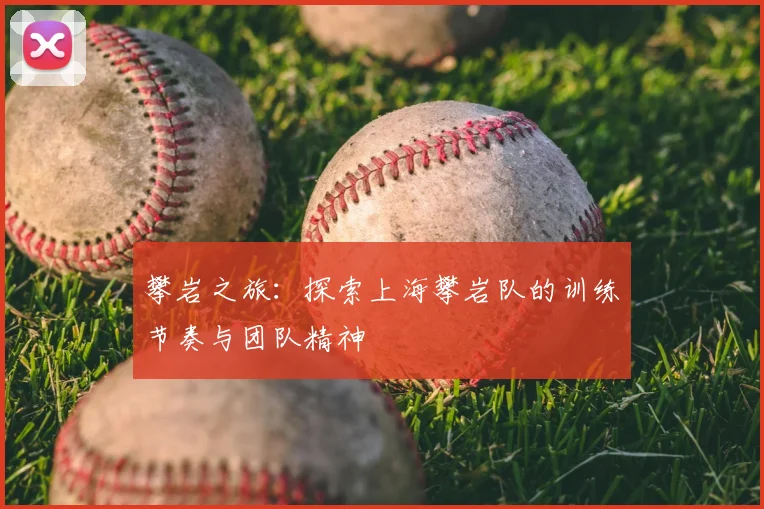 攀岩之旅:探索上海攀岩队的训练节奏与团队精神