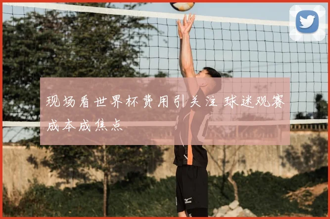 现场看世界杯费用引关注 球迷观赛成本成焦点