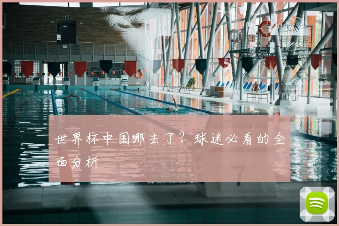 世界杯中国哪去了?球迷必看的全面分析