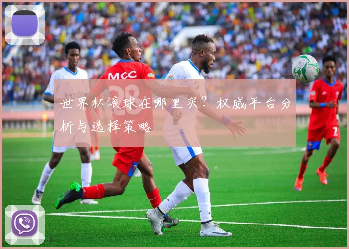 世界杯滚球在哪里买?权威平台分析与选择策略