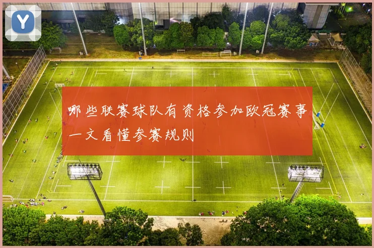 哪些联赛球队有资格参加欧冠赛事一文看懂参赛规则