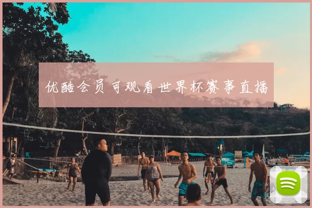 优酷会员可观看世界杯赛事直播