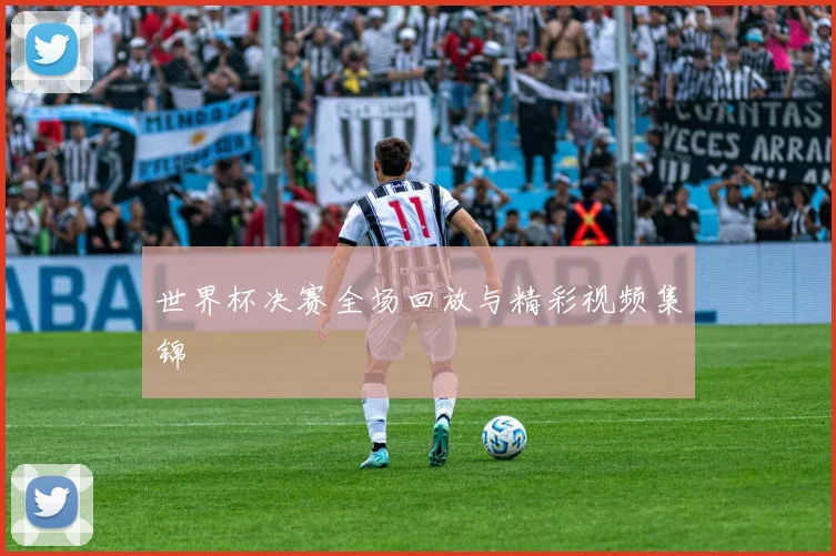 世界杯决赛全场回放与精彩视频集锦