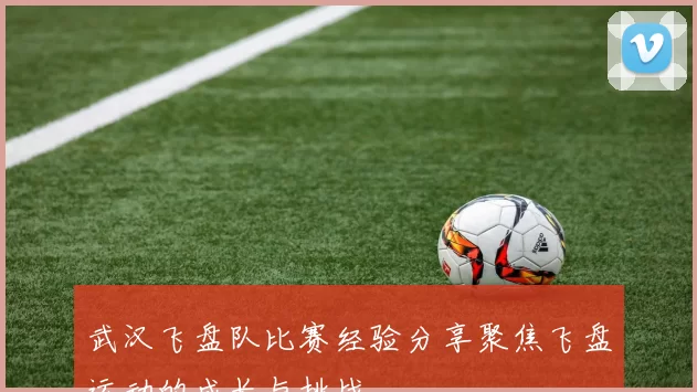 武汉飞盘队比赛经验分享聚焦飞盘运动的成长与挑战