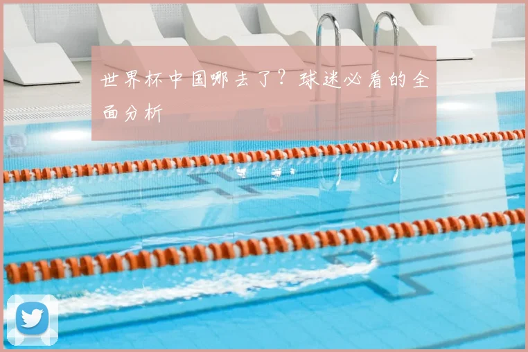 世界杯中国哪去了?球迷必看的全面分析