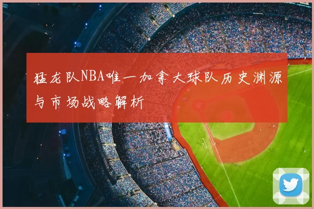 猛龙队NBA唯一加拿大球队历史渊源与市场战略解析