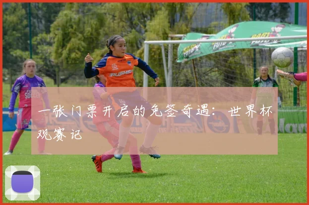 一张门票开启的免签奇遇:世界杯观赛记