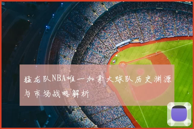 猛龙队NBA唯一加拿大球队历史渊源与市场战略解析