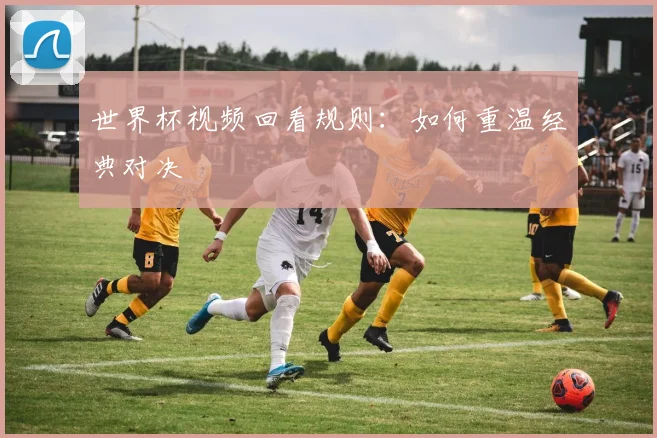 世界杯视频回看规则：如何重温经典对决